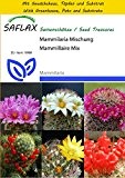 SAFLAX - Anzucht Set - Kakteen - Mammilaria Mischung - 40 Samen - Mammilaria Mix