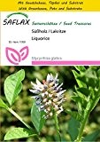 SAFLAX - Anzucht Set - Kräuter - Süßholz / Lakritze - 30 Samen - Glycyrrhiza glabra
