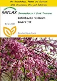 SAFLAX - Anzucht Set - Liebesbaum / Herzbaum - 60 Samen - Cercis siliquastrum