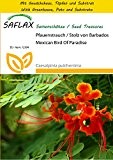 SAFLAX - Anzucht Set - Pfauenstrauch / Stolz von Barbados - 10 Samen - Caesalpinia pulcherrima