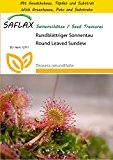 SAFLAX - Anzucht Set - Rundblättriger Sonnentau - 50 Samen - Drosera rotundifolia