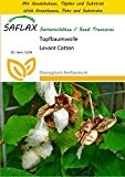 SAFLAX - Anzucht Set - Topfbaumwolle - 12 Samen - Gossypium herbaceum