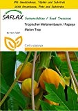 SAFLAX - Anzucht Set - Tropischer Melonenbaum / Papaya - 30 Samen - Carica papaya