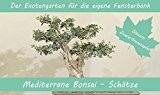 SAFLAX - Anzuchtset - Mediterrane Bonsai-Schätze - Mit 2 Samensorten, Gewächshaus, Anzuchtsubstrat, Zellfasertöpfen zum Umtopfen und Anleitung