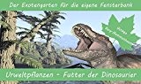 SAFLAX - Anzuchtset - Urweltpflanzen - Futter der Dinosaurier - Mit 2 Samensorten, Gewächshaus, Anzuchtsubstrat, Zellfasertöpfen zum Umtopfen und Anleitung