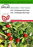 SAFLAX - Chili - Chillipepper Red Finger - 25 Samen - Mit Substrat - Capsicum frutescens