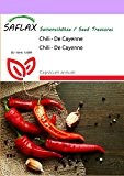 SAFLAX - Chili - De Cayenne - 20 Samen - Capsicum annum