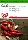 SAFLAX - Chili - De Cayenne - 20 Samen - Mit Substrat - Capsicum annum