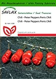 SAFLAX - Chili - Peter Peppers Penis Chili - 10 Samen - Mit Substrat - Capsicum annuum
