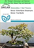 SAFLAX - Garden to Go - Bonsai - Echte Myrte / Brautmyrte - 30 Samen - Myrtus communis