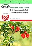 SAFLAX - Garden to Go - Chili - Habanero Antilles Red - 10 Samen - Capsicum chinense
