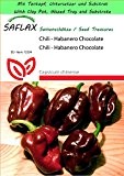 SAFLAX - Garden to Go - Chili - Habanero Chocolate - 10 Samen - Capsicum chinense