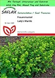 SAFLAX - Garden to Go - Heilpflanzen - Frauenmantel - 100 Samen - Alchemilla vulgaris