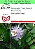 SAFLAX - Garden to Go - Heilpflanzen - Passionsblume - 5 Samen - Passiflora incarnata