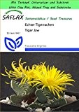 SAFLAX - Garden to Go - Kakteen - Echter Tigerrachen - 40 Samen - Faucaria trigrina