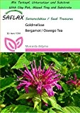 SAFLAX - Garden to Go - Kräuter - Goldmelisse - 20 Samen - Monarda didyma