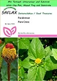SAFLAX - Garden to Go - Kräuter - Parakresse - 500 Samen - Acmella oleracea