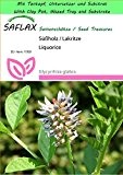 SAFLAX - Garden to Go - Kräuter - Süßholz / Lakritze - 30 Samen - Glycyrrhiza glabra