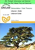 SAFLAX - Garden to Go - Libanon - Zeder - 20 Samen - Cedrus libani