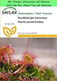 SAFLAX - Garden to Go - Rundblättriger Sonnentau - 50 Samen - Drosera rotundifolia