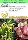 SAFLAX - Garden to Go - Schlauch- / Kannenpflanze - 10 Samen - Sarracenia flava / S. purpurea - Mix