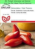SAFLAX - Garden to Go - Tomate - Andenhorn / Cornue des Andes - 10 Samen - Lycopersicon esculentum