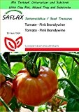 SAFLAX - Garden to Go - Tomate - Pink Brandywine - 10 Samen - Lycopersicon esculentum