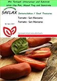 SAFLAX - Garden to Go - Tomate - San Marzano - 10 Samen - Lycopersicon esculentum