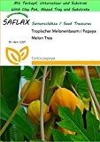 SAFLAX - Garden to Go - Tropischer Melonenbaum / Papaya - 30 Samen - Carica papaya
