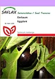 SAFLAX - GE-Aubergine - Eierbaum (Solanum melonga) - 20 Samen