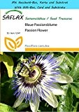 SAFLAX - Geschenk Set - Blaue Passionsblume - 25 Samen - Passiflora caerulea