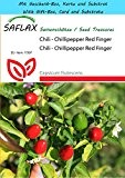SAFLAX - Geschenk Set - Chili - Chillipepper Red Finger - 25 Samen - Capsicum frutescens