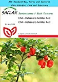 SAFLAX - Geschenk Set - Chili - Habanero Antilles Red - 10 Samen - Capsicum chinense