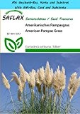 SAFLAX - Geschenk Set - Gräser-Bambus-Amerikanisches Pampasgras - 200 Samen - Cortaderia selloana `Silber`