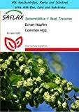 SAFLAX - Geschenk Set - Heilpflanzen - Echter Hopfen - 50 Samen - Humulus lupulus