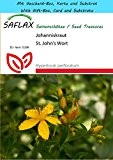 SAFLAX - Geschenk Set - Heilpflanzen - Johanniskraut - 300 Samen - Hypericum perforatum