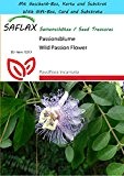 SAFLAX - Geschenk Set - Heilpflanzen - Passionsblume - 5 Samen - Passiflora incarnata