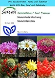 SAFLAX - Geschenk Set - Kakteen - Mammilaria Mischung - 40 Samen - Mammilaria Mix