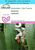 SAFLAX - Geschenk Set - Kräuter - Kardamom - 10 Samen - Elettaria cardamomum