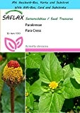 SAFLAX - Geschenk Set - Kräuter - Parakresse - 500 Samen - Acmella oleracea