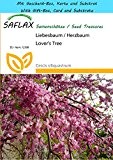 SAFLAX - Geschenk Set - Liebesbaum / Herzbaum - 60 Samen - Cercis siliquastrum