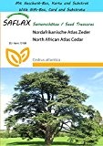 SAFLAX - Geschenk Set - Nordafrikanische Atlas Zeder - 20 Samen - Cedrus atlantica
