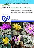 SAFLAX - Geschenk Set - Sukkulenten - Blühende Steine / Conophytum Mix - 40 Samen - Conophytum Mix