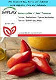 SAFLAX - Geschenk Set - Tomate - Andenhorn / Cornue des Andes - 10 Samen - Lycopersicon esculentum