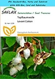 SAFLAX - Geschenk Set - Topfbaumwolle - 12 Samen - Gossypium herbaceum