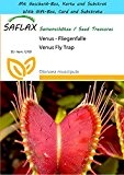 SAFLAX - Geschenk Set - Venus - Fliegenfalle - 10 Samen - Dionaea muscipula
