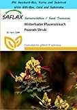 SAFLAX - Geschenk Set - Winterharter Pfauenstrauch - 10 Samen - Caesalpinia gillesii X spinosa