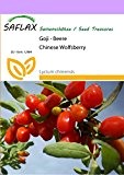 SAFLAX - Goji - Beere - 200 Samen - Lycium chinensis