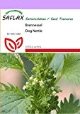 SAFLAX - Heilpflanzen - Brennessel - 150 Samen - Urtica urens