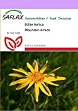 SAFLAX - Heilpflanzen - Echte Arnica - 40 Samen - Arnica montana